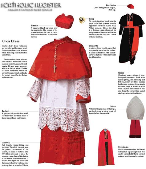 cardinal and bishop difference